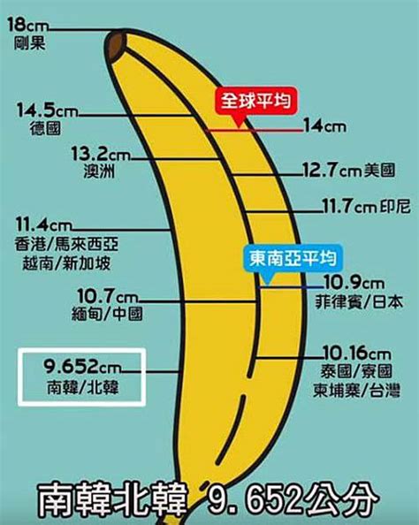 勃起 長度|人類陰莖尺寸